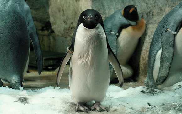 大阪 Day 05 － 01