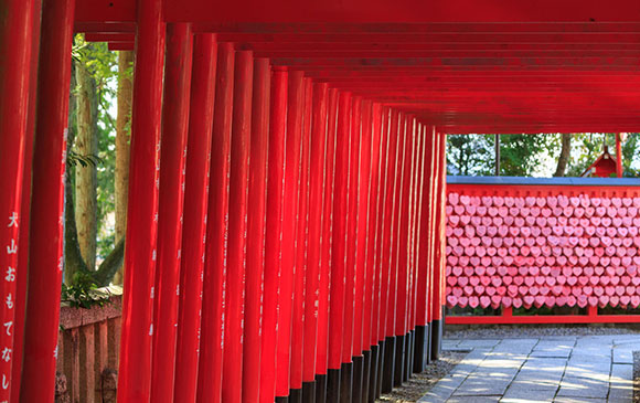 金澤－30km－小矢部－200km－犬山 Day 05 － 04