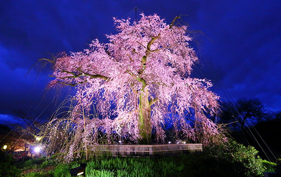 台北 －日本．大阪－70km－京都 Day 01 － 03