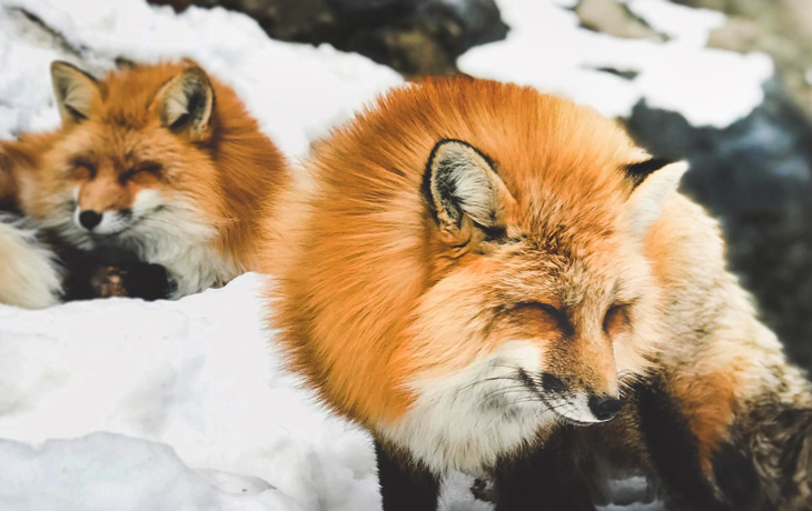 遠刈田－50km－山形－80km－銀山溫泉 Day 02 － 03