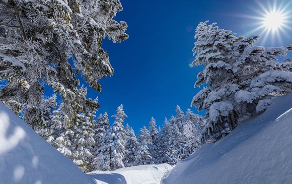 名古屋－158km－高山－50km－奧飛驒－50km－高山 Day 02 － 03