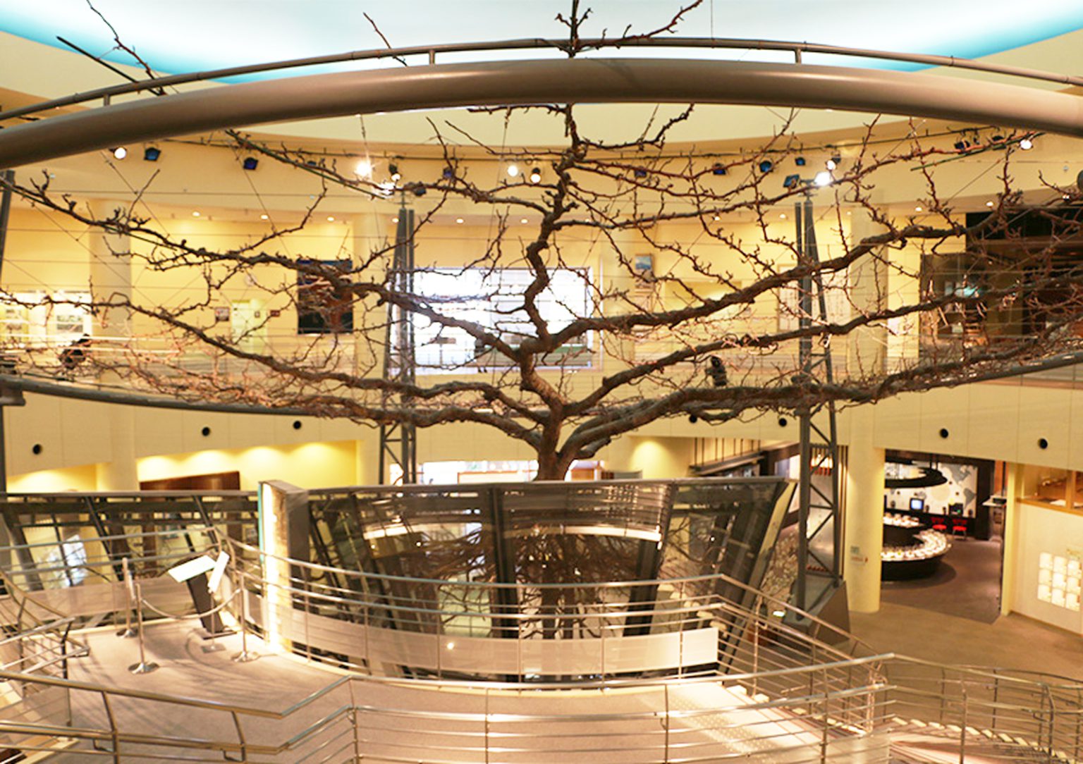 湯村－78km－鳥取－88km－大根島－64km－出雲 Day 03 － 01